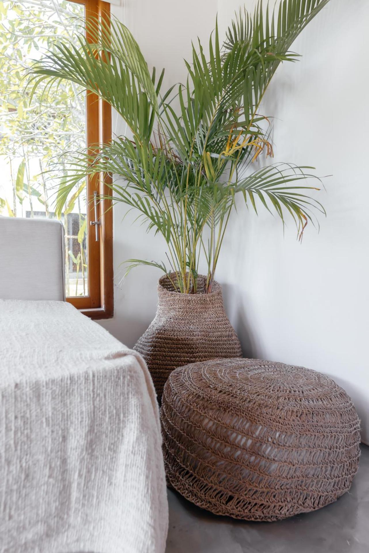 Hola Villas & Lofts Uluwatu المظهر الخارجي الصورة
